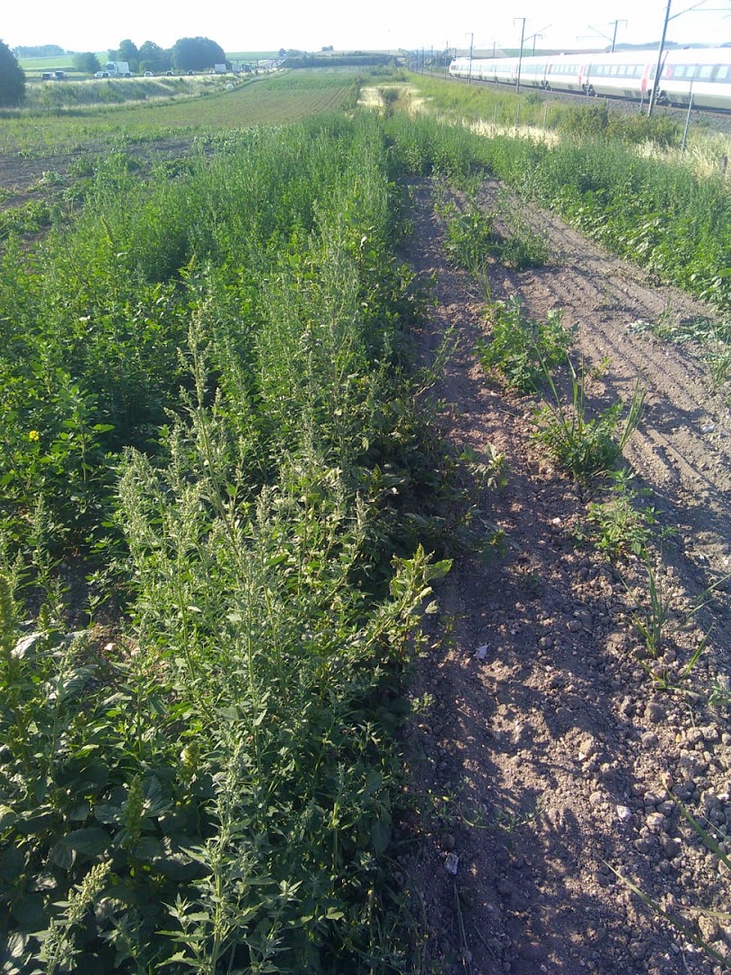 Erca Prestations — Photos 3
